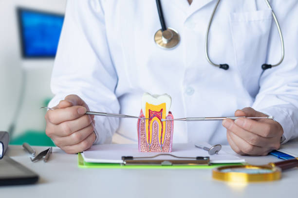 Best Emergency Treatment for Dental Infections or Abscesses in Stewartville, AL